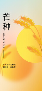 芒种节气宣传海报展板