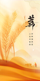 芒种节气宣传海报展板