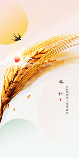 芒种节气宣传海报展板