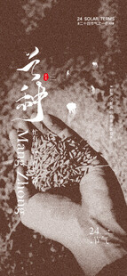 芒种节气宣传海报展板