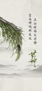 芒种节气宣传海报展板