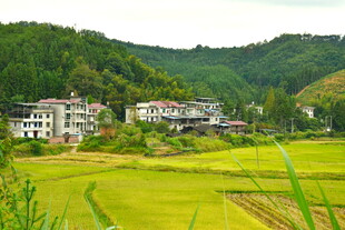 福建邵武农村