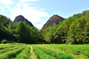 武夷山国家公园