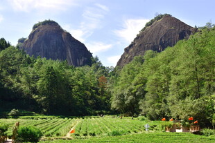 武夷山国家公园