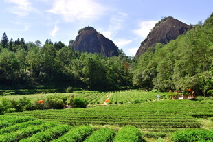武夷山国家公园