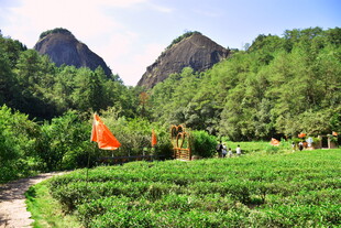 武夷山国家公园