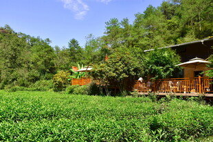 武夷山国家公园