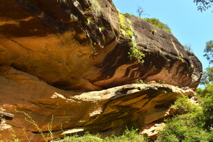 武夷山国家公园