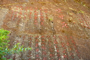 武夷山国家公园