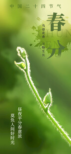 春分节气宣传海报展板