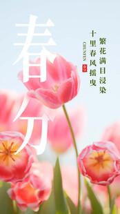 春分节气宣传海报展板