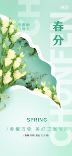 春分节气宣传海报展板