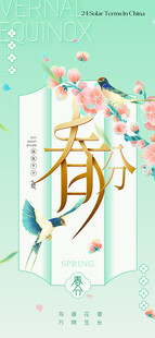 春分节气宣传海报展板