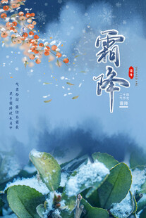 霜降广告海报设计