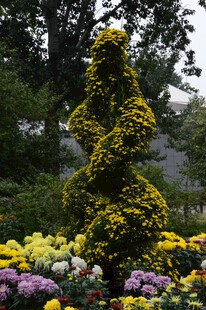 花坛  