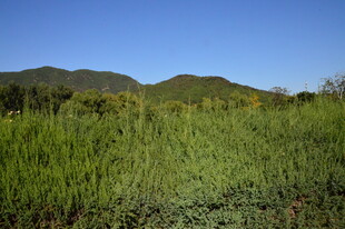 公园风景  