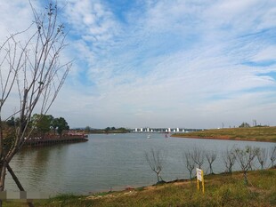 江边风景