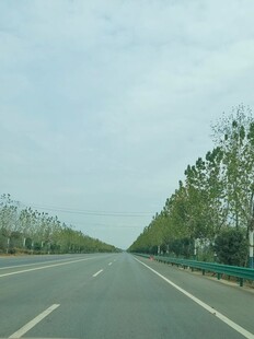 道路