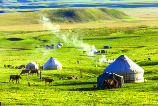 草原毡房