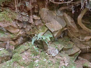 山间石壁