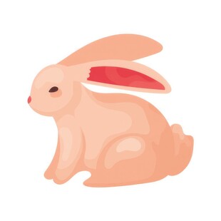 可爱小兔子插画扁平设计纯色背景