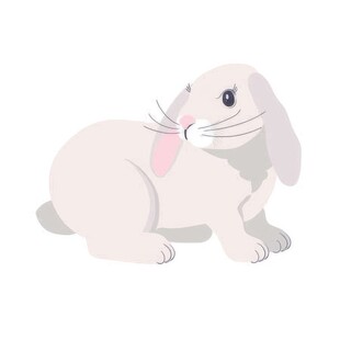 可爱小兔子插画扁平设计纯色背景