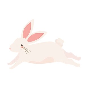 可爱小兔子插画扁平设计纯色背景