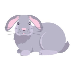 可爱小兔子插画扁平设计纯色背景