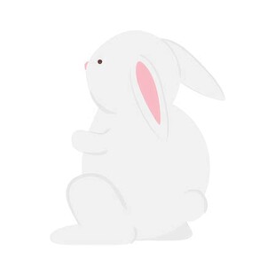 可爱小兔子插画扁平设计纯色背景