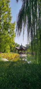 公园风景 