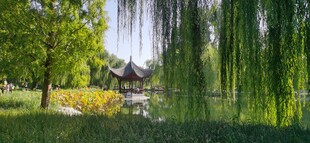 公园风景 