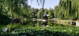 公园风景 