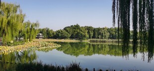 公园风景  