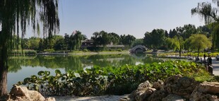 公园风景 