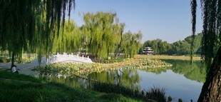 公园风景 