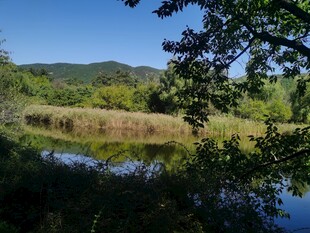 公园风景  