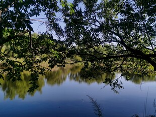 公园风景 
