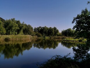 公园风景  