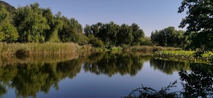 公园风景 