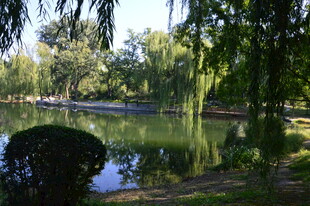 公园风景 