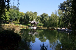 公园风景 