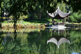 公园风景  