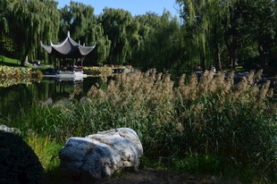 公园风景  