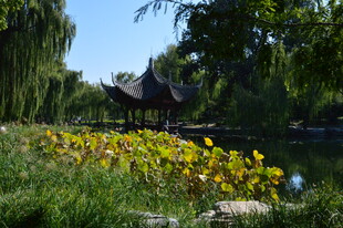 公园风景  