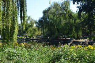 公园风景  