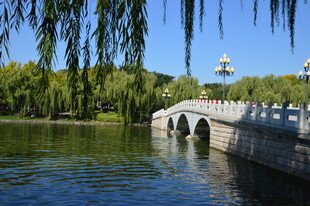 公园风景 