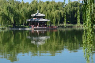 公园风景 