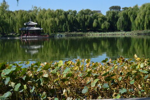 公园风景 