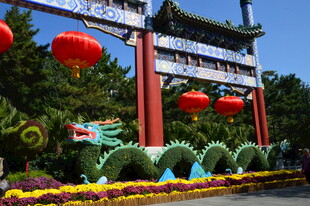 公园风景  