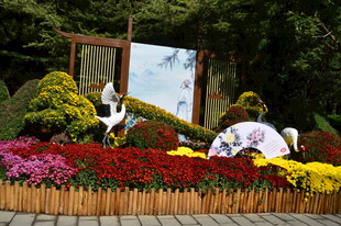 公园风景 